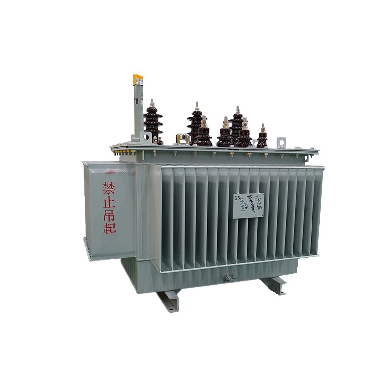 oil immersed hermetically sealed type transformer (2)